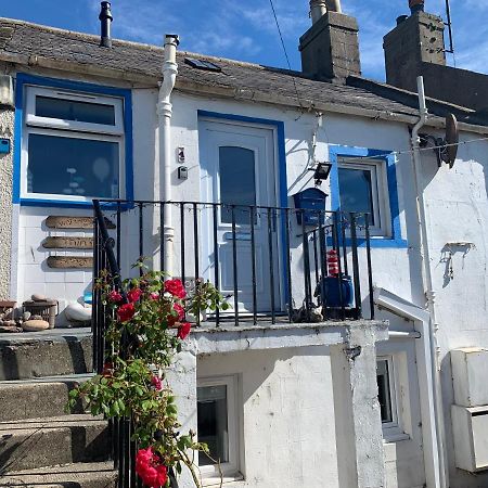 The Thin Seagull 4 Beacon Terrace Ferryden Villa Exterior photo